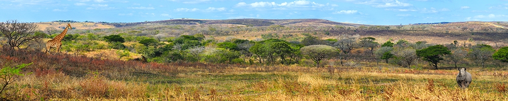 web South Africa Landscape