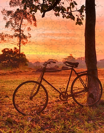 Bicycle Sunset 252