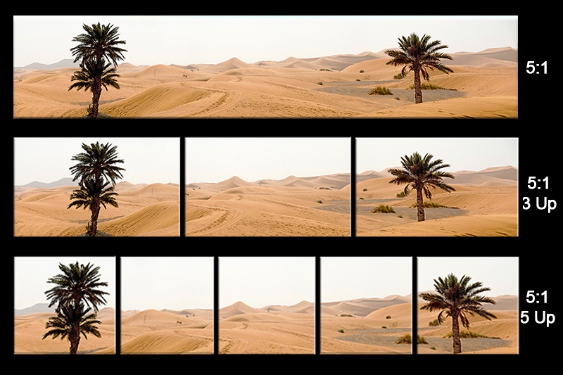 sheet Sahara trees