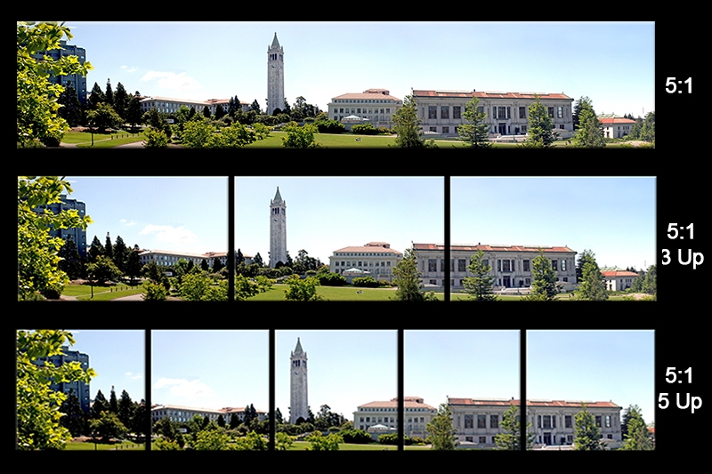 sheet UC Berkeley02